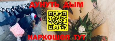 шишки Кандалакша